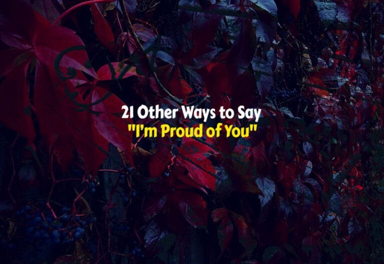 Another Ways to Say I’m Proud of You