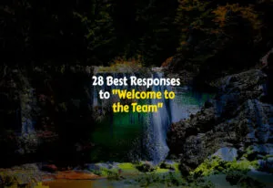 How to Respond to Welcome to the Team