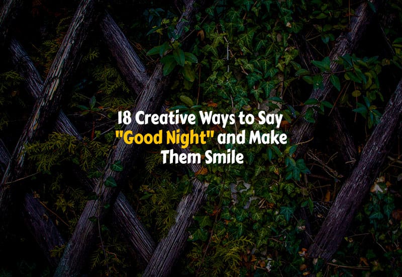 Other Ways to Say Good Night