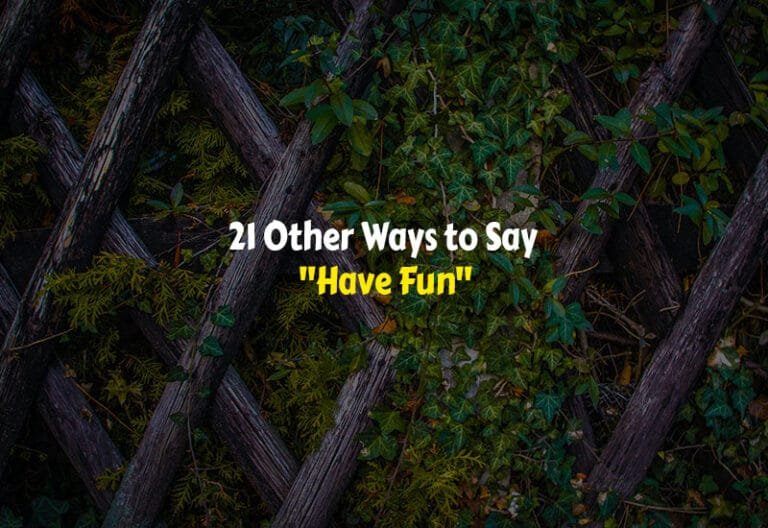 Other Ways to Say Have Fun