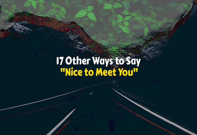 Other Ways to Say Nice to Meet You