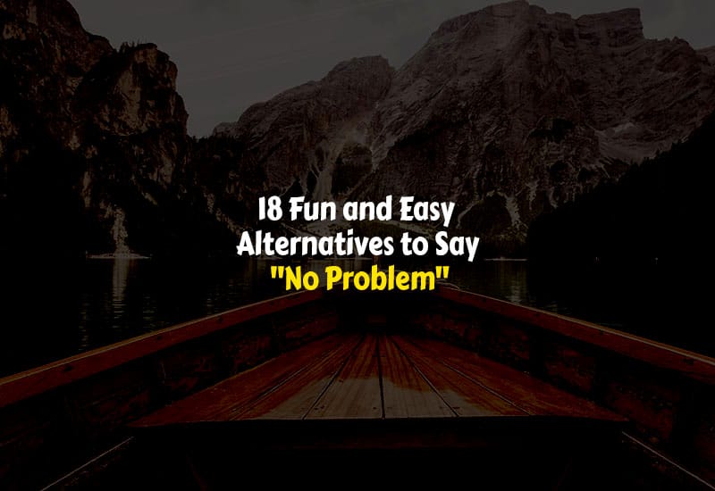 Other Ways to Say No Problem