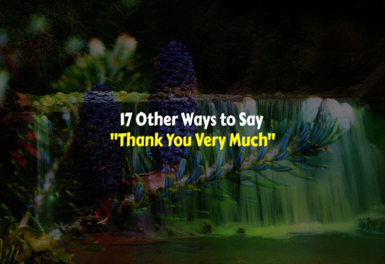 Other Ways to Say Thank You Very Much