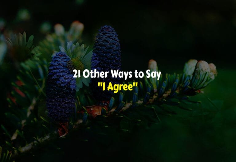 Other Ways to Say I Agree
