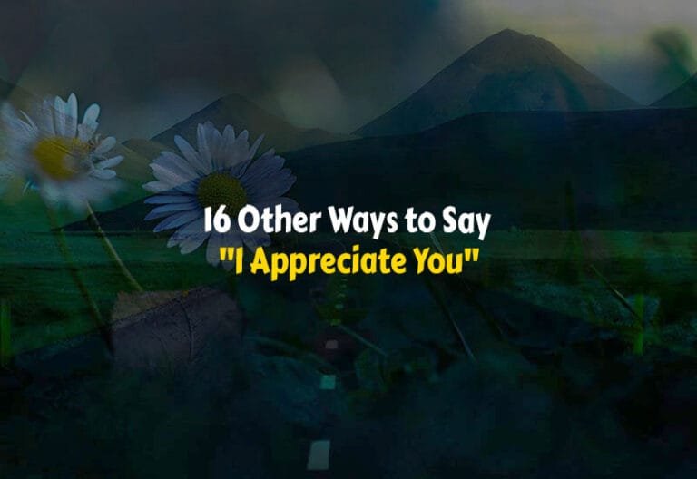 Other Ways to Say I Appreciate You