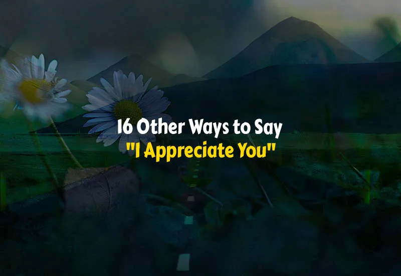 Other Ways to Say I Appreciate You