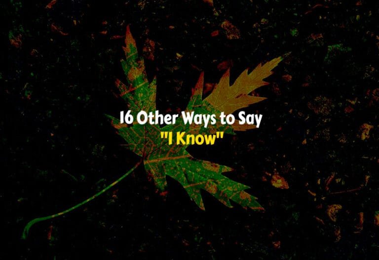 Other Ways to Say I Know