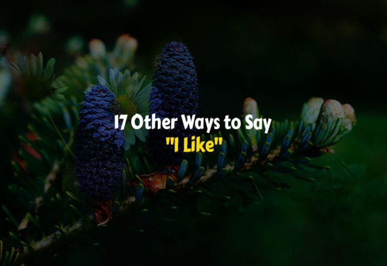 Other Ways to Say I Like