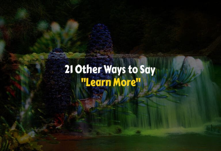Other Ways to Say Learn More