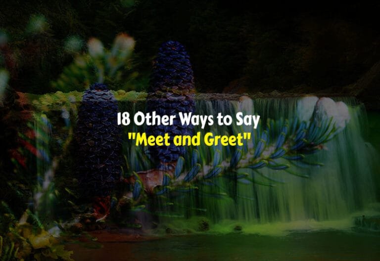 Other Ways to Say Meet and Greet