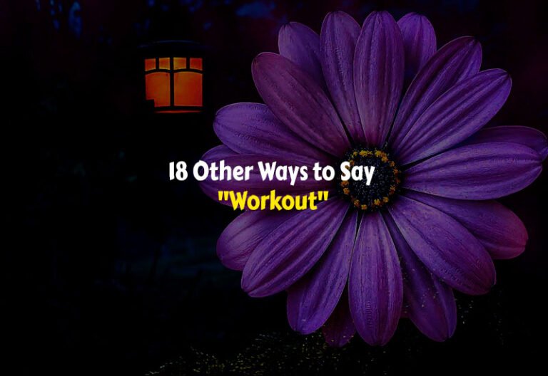 Other Ways to Say Workout