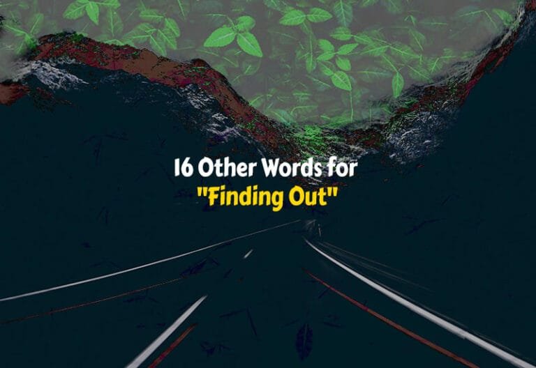 Other Words for Finding Out