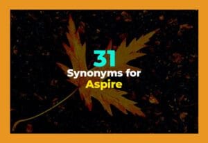 synonyms for aspire