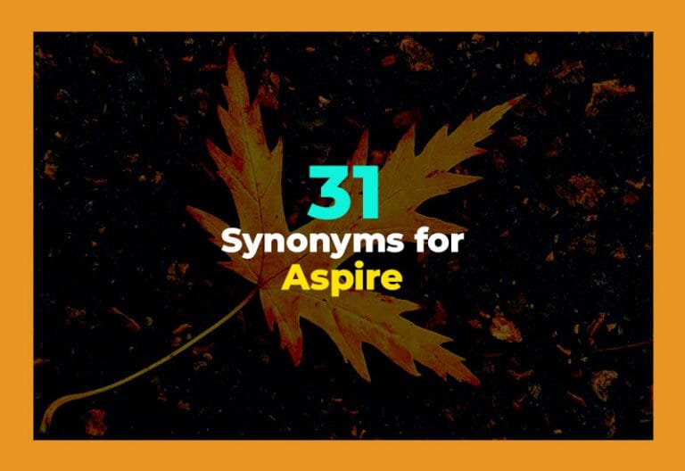 synonyms for aspire