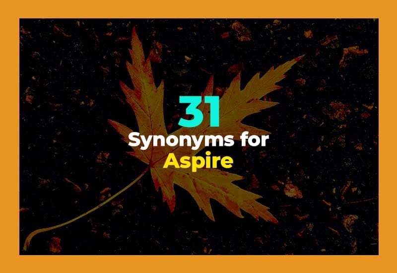 Synonyms for Aspire
