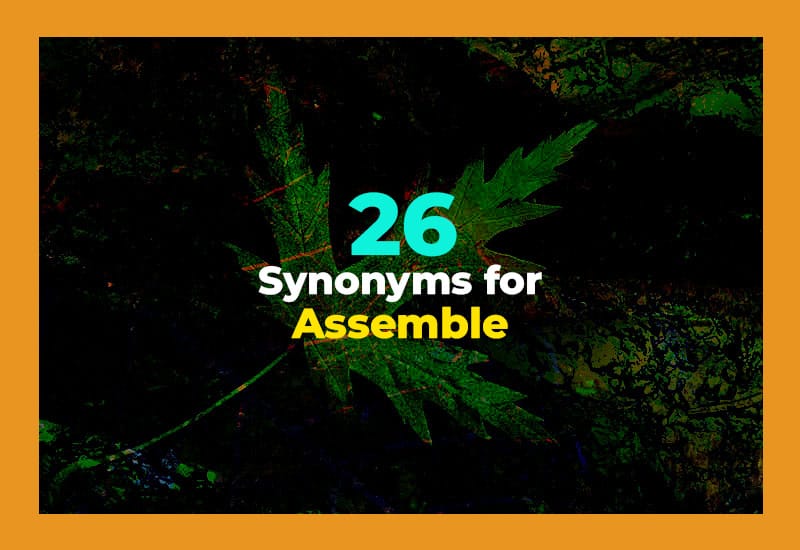 Synonyms for Assemble