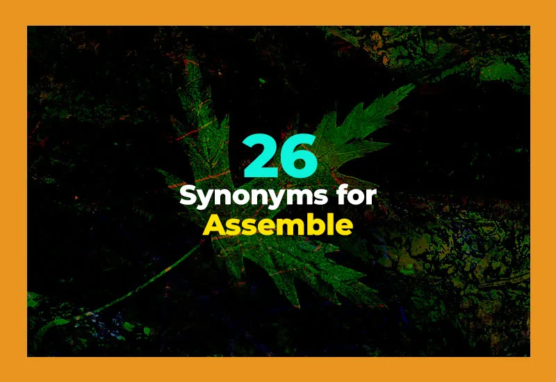 Synonyms for Assemble