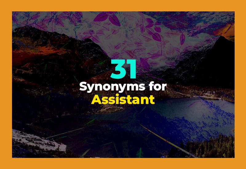 Synonyms for Assistant