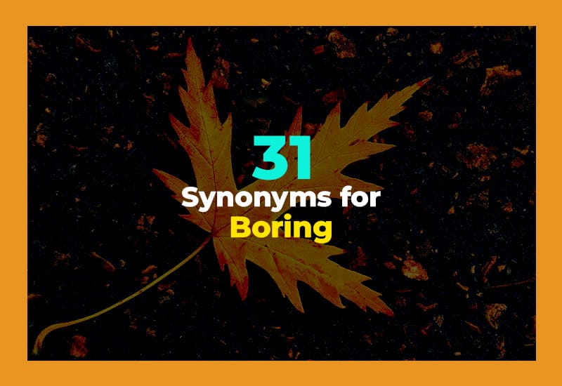 Synonyms for Boring