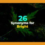 synonyms for bright