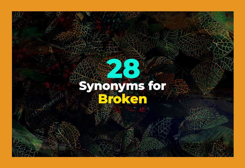 Synonyms for Broken