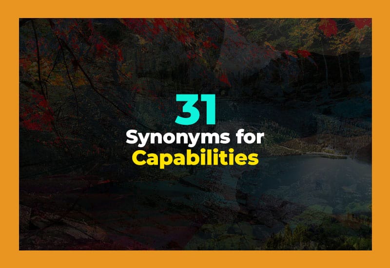 Synonyms for Capabilities