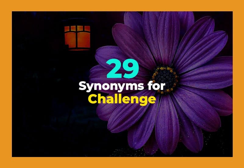 Synonyms for Challenge