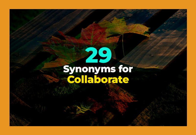 Synonyms for Collaborate