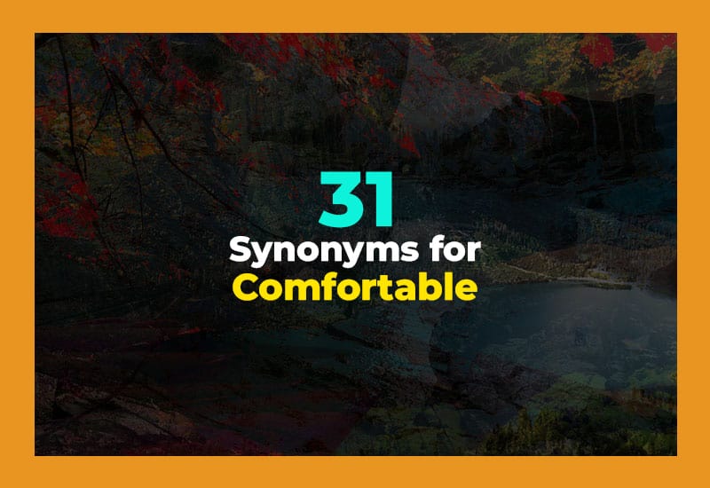 Synonyms for Comfortable