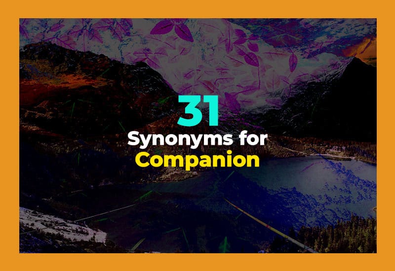 Synonyms for Companion
