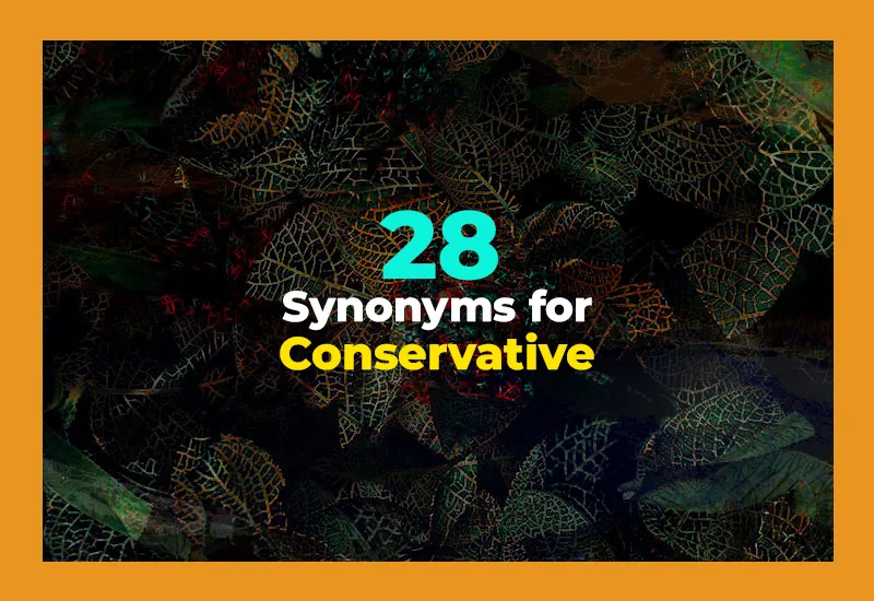 28 Other Ways to Say Conservative (With Examples)