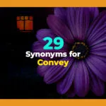 synonyms for convey