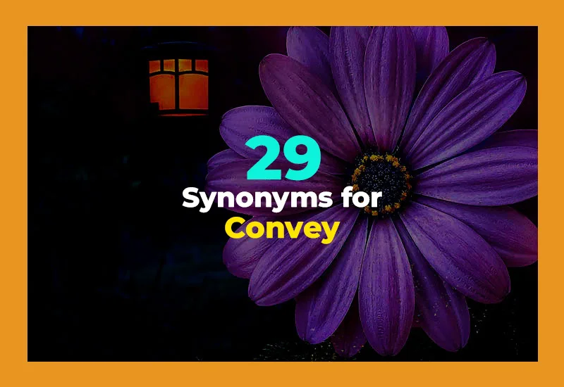 Synonyms for Convey