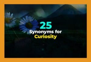 synonyms for curiosity