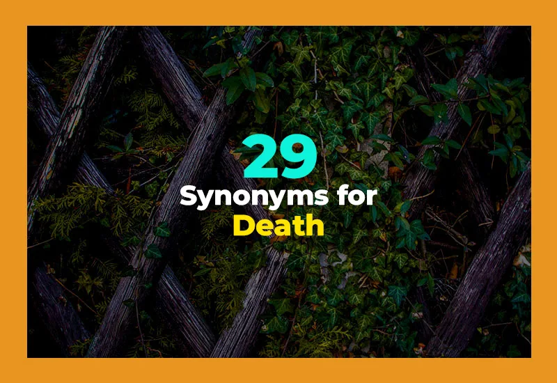 Synonyms for Death