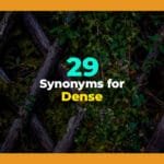 synonyms for dense