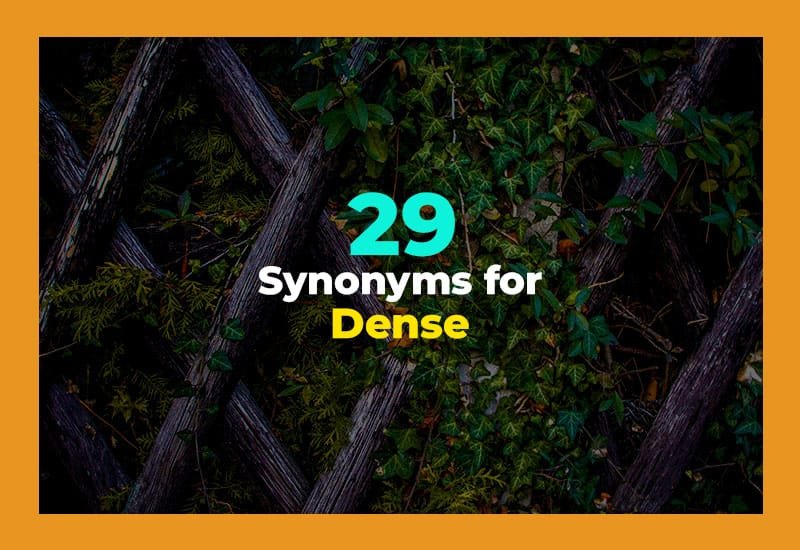 21 Other Ways to Say Dense (With Examples)