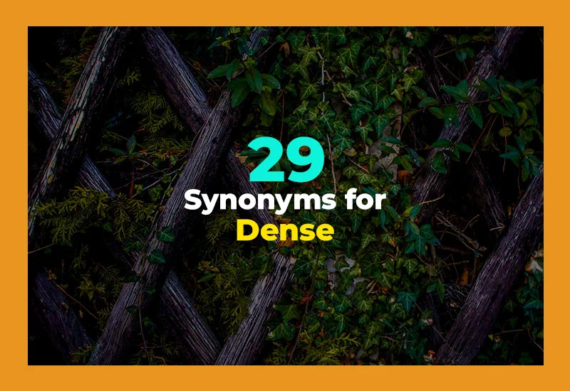 21 Other Ways to Say Dense (With Examples)