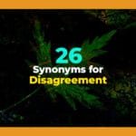 synonyms for disagreement
