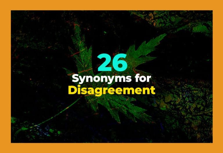 synonyms for disagreement