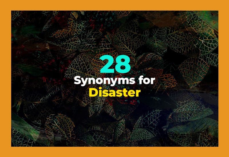 Synonyms for Disaster