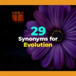synonyms for evolution