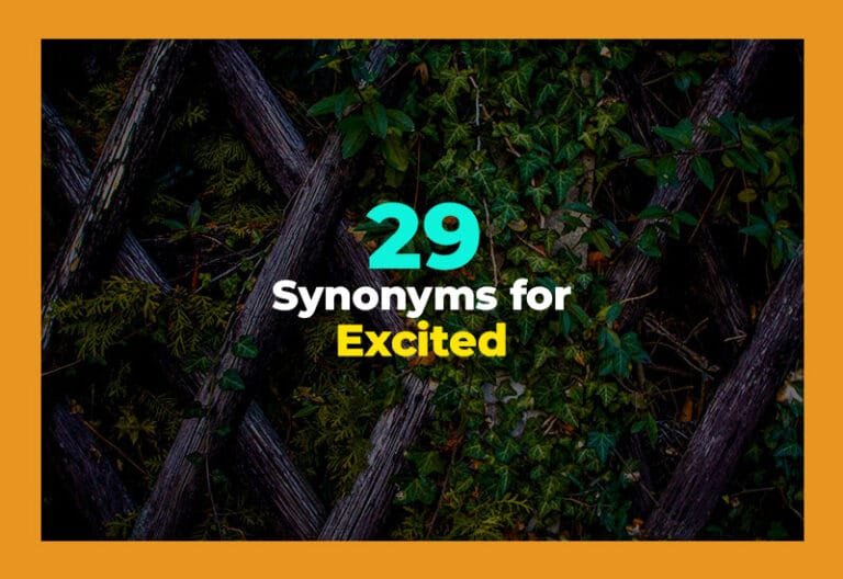 synonyms for excited