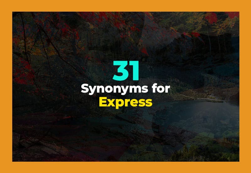 Synonyms for Express