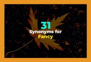 synonyms for fancy
