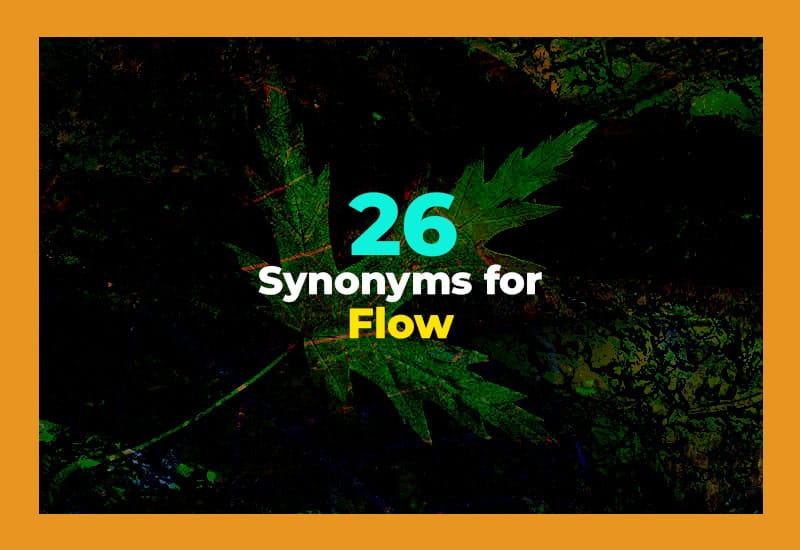 Synonyms for Flow