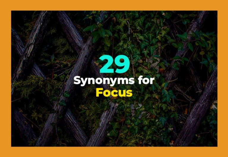 synonyms for focus