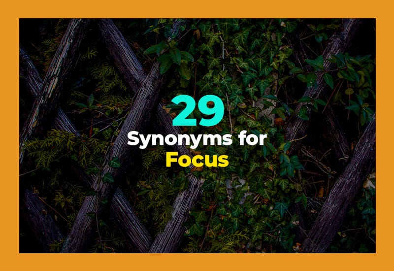 Synonyms for Focus
