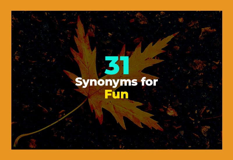 Synonyms for Fun