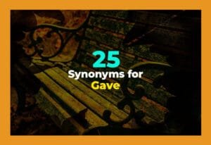 synonyms for gave